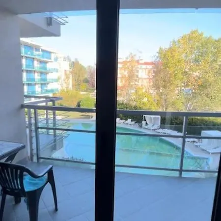 Large In Sunny Apartament