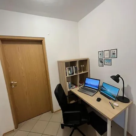 Large In Sunny Apartament