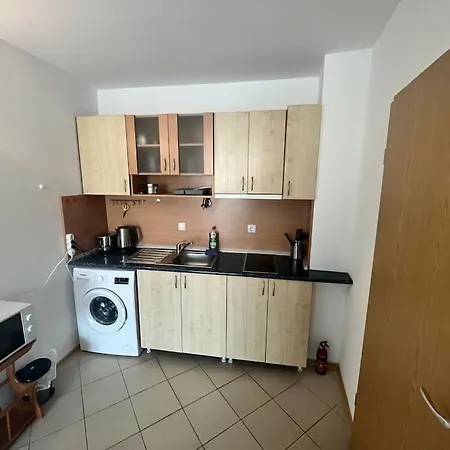Large In Sunny Apartament